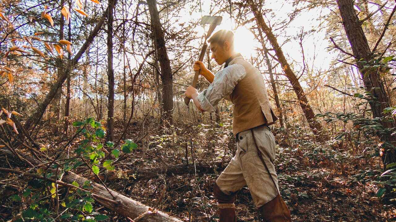 Springhill, LA Tree Service Company